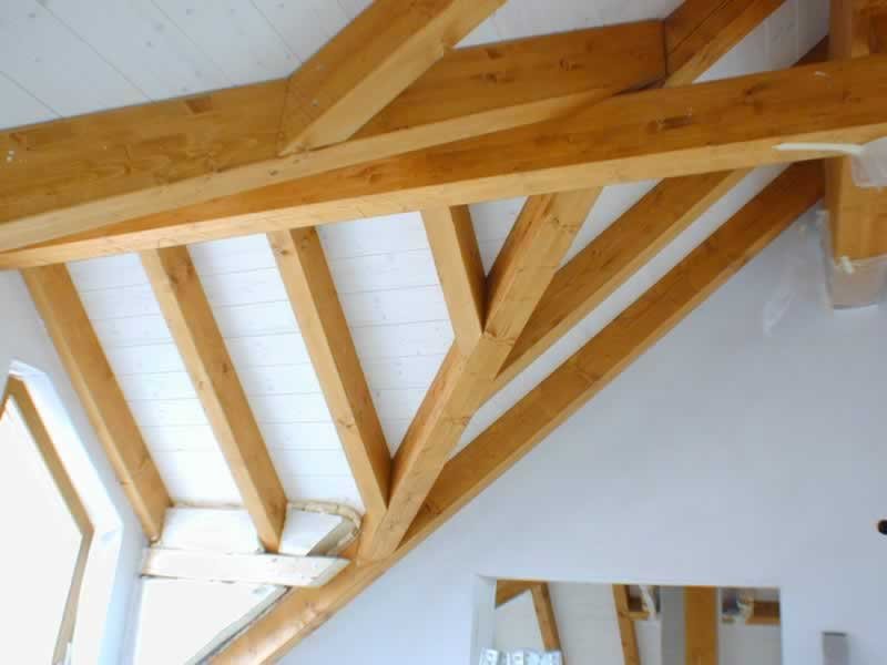 p5200055.jpg p5200055.jpg